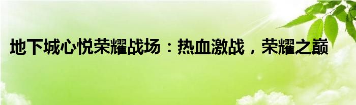 地下城心悦荣耀战场：热血激战，荣耀之巅