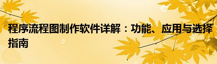 程序流程图制作软件详解：功能、应用与选择指南