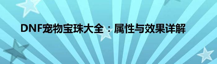 DNF宠物宝珠大全：属性与效果详解