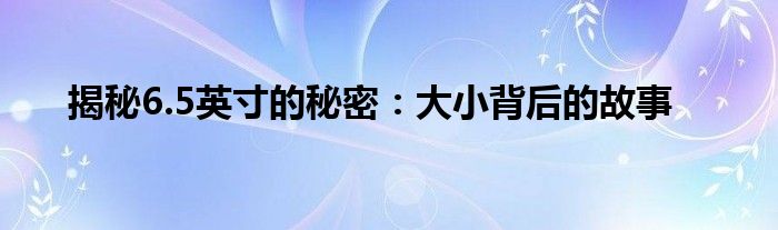 揭秘6.5英寸的秘密：大小背后的故事