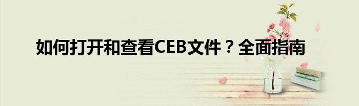 如何打开和查看CEB文件？全面指南