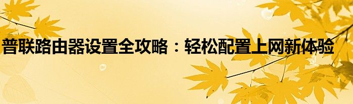 普联路由器设置全攻略：轻松配置上网新体验