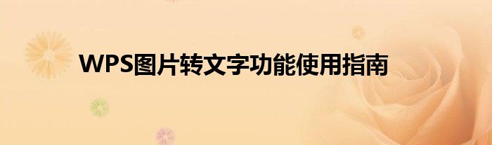 WPS图片转文字功能使用指南