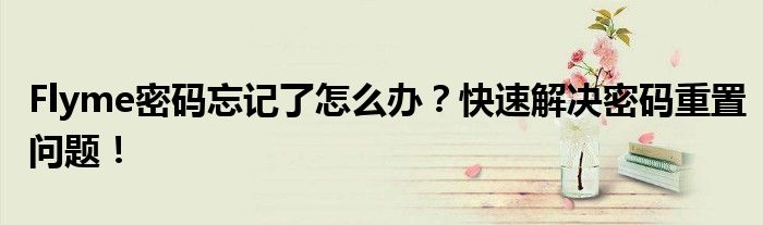 Flyme密码忘记了怎么办？快速解决密码重置问题！