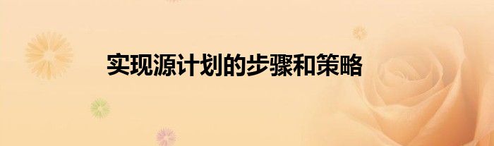 实现源计划的步骤和策略