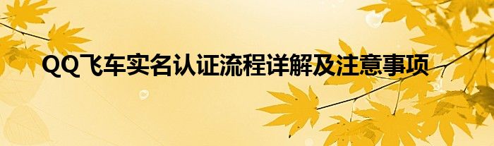 QQ飞车实名认证流程详解及注意事项