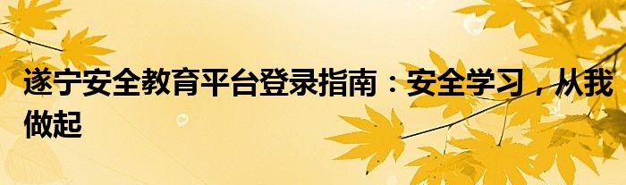 遂宁安全教育平台登录指南：安全学习，从我做起