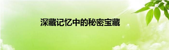 深藏记忆中的秘密宝藏