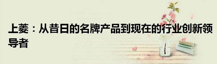 上菱：从昔日的名牌产品到现在的行业创新领导者