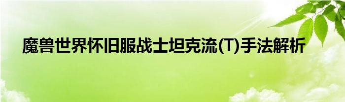 魔兽世界怀旧服战士坦克流(T)手法解析