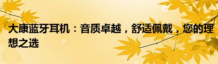 大康蓝牙耳机：音质卓越，舒适佩戴，您的理想之选