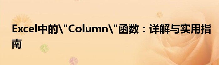 Excel中的