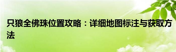 只狼全佛珠位置攻略：详细地图标注与获取方法