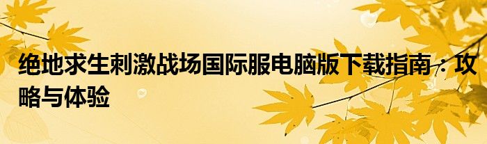 绝地求生刺激战场国际服电脑版下载指南：攻略与体验