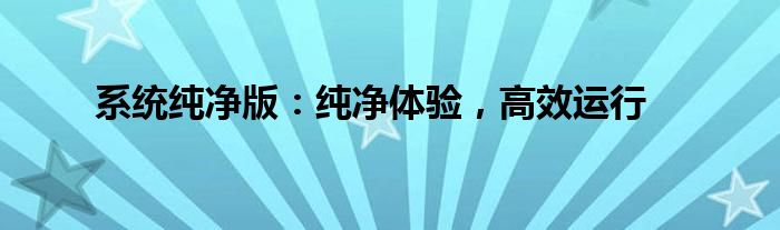 系统纯净版：纯净体验，高效运行