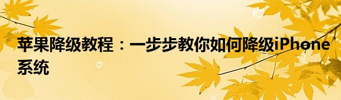 苹果降级教程：一步步教你如何降级iPhone系统