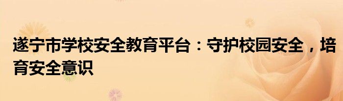 遂宁市学校安全教育平台：守护校园安全，培育安全意识