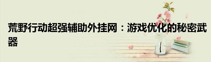 荒野行动超强辅助外挂网：游戏优化的秘密武器