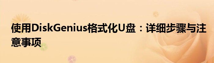 使用DiskGenius格式化U盘：详细步骤与注意事项