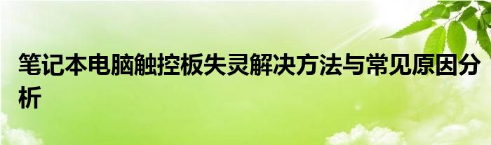 笔记本电脑触控板失灵解决方法与常见原因分析