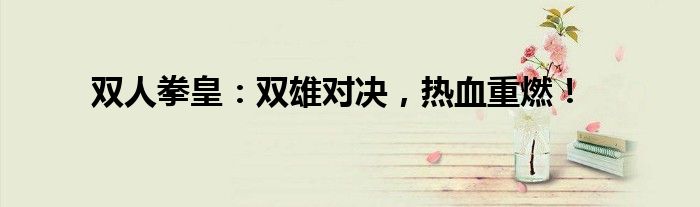 双人拳皇：双雄对决，热血重燃！