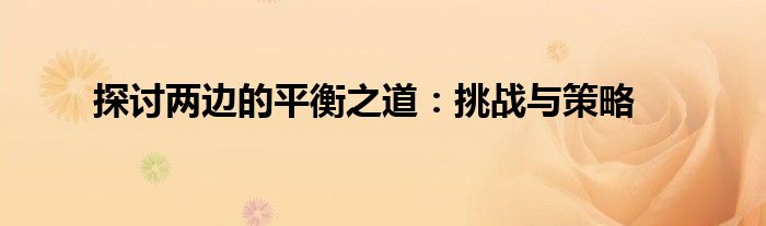 探讨两边的平衡之道：挑战与策略