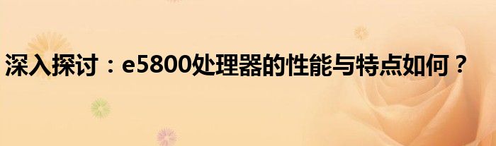 深入探讨：e5800处理器的性能与特点如何？
