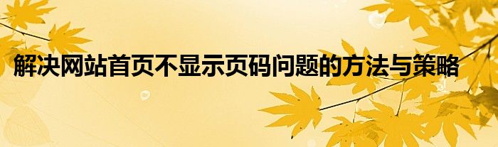解决网站首页不显示页码问题的方法与策略