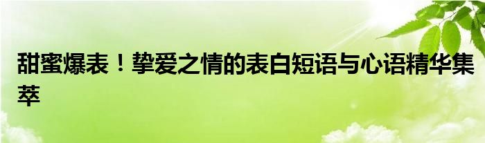 甜蜜爆表！挚爱之情的表白短语与心语精华集萃