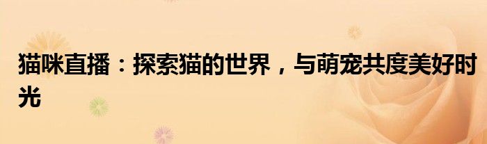 猫咪直播：探索猫的世界，与萌宠共度美好时光
