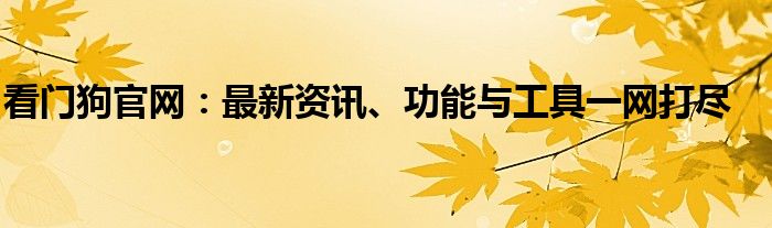 看门狗官网：最新资讯、功能与工具一网打尽