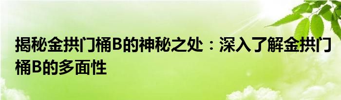 揭秘金拱门桶B的神秘之处：深入了解金拱门桶B的多面性