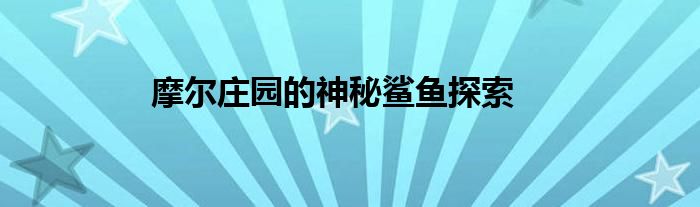 摩尔庄园的神秘鲨鱼探索
