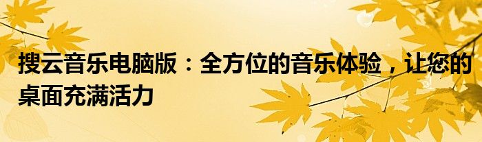 搜云音乐电脑版：全方位的音乐体验，让您的桌面充满活力