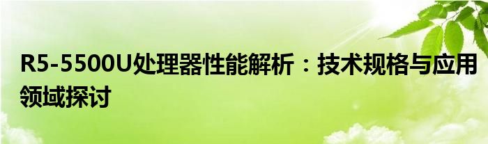 R5-5500U处理器性能解析：技术规格与应用领域探讨