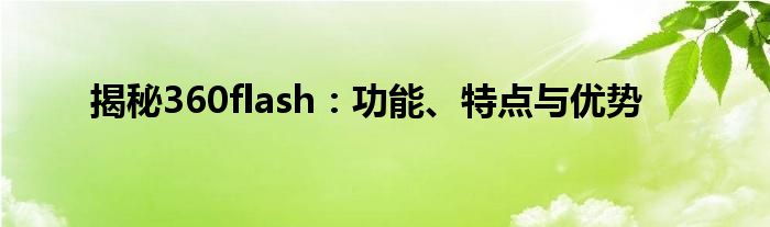 揭秘360flash：功能、特点与优势