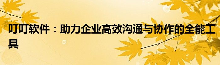 叮叮软件：助力企业高效沟通与协作的全能工具