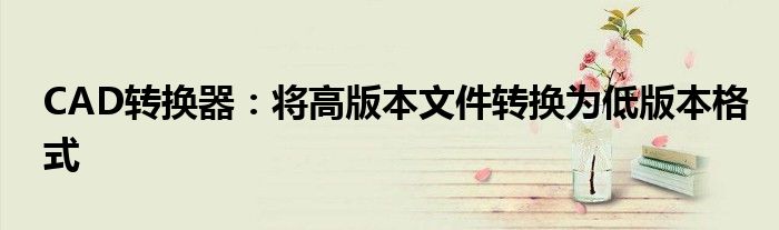 CAD转换器：将高版本文件转换为低版本格式