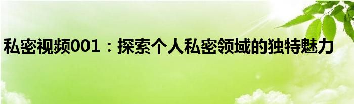 私密视频001：探索个人私密领域的独特魅力