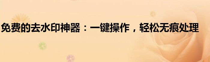 免费的去水印神器：一键操作，轻松无痕处理