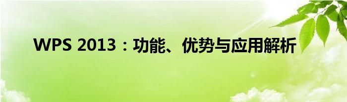 WPS 2013：功能、优势与应用解析