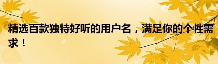 精选百款独特好听的用户名，满足你的个性需求！