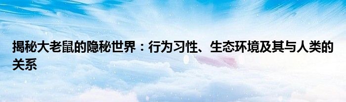 揭秘大老鼠的隐秘世界：行为习性、生态环境及其与人类的关系