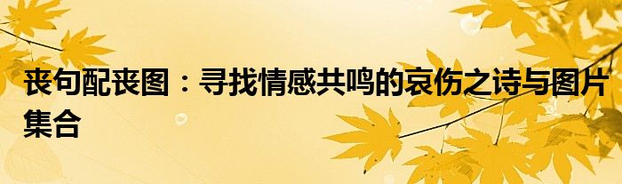 丧句配丧图：寻找情感共鸣的哀伤之诗与图片集合