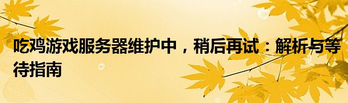 吃鸡游戏服务器维护中，稍后再试：解析与等待指南