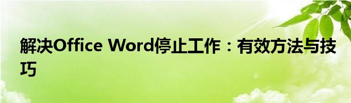解决Office Word停止工作：有效方法与技巧