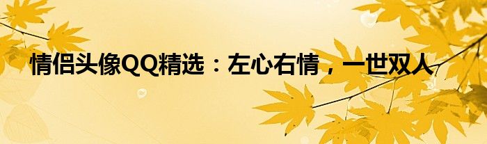 情侣头像QQ精选：左心右情，一世双人