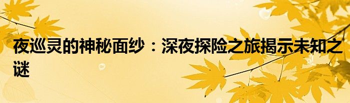夜巡灵的神秘面纱：深夜探险之旅揭示未知之谜