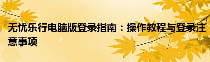 无忧乐行电脑版登录指南：操作教程与登录注意事项