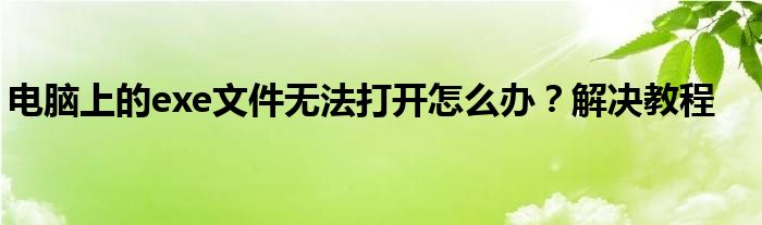电脑上的exe文件无法打开怎么办？解决教程